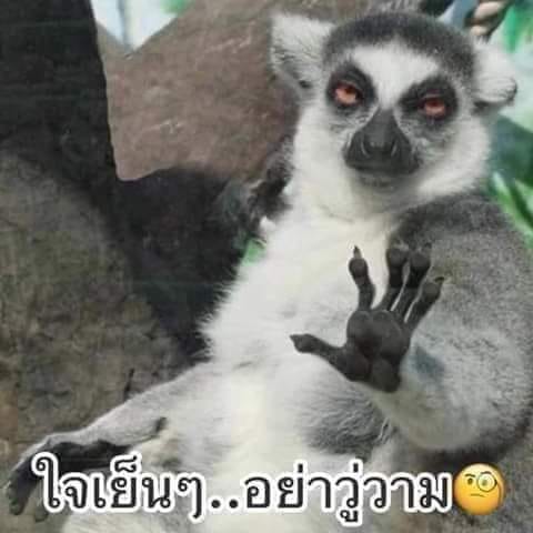 ไม่พบภาพตารางกะ